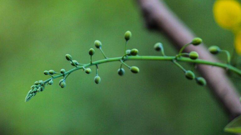 Volunteer Travel: Making a Difference